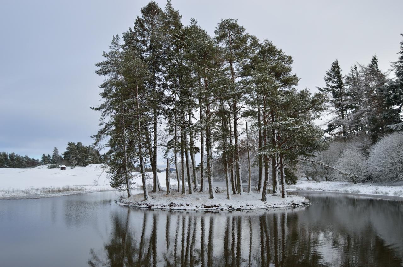The Pines - Luxury 3-Bed Apartment Near Golf & Spa, Gleneagles, Auchterarder Exterior foto